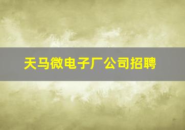 天马微电子厂公司招聘