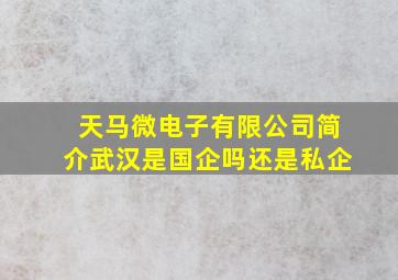 天马微电子有限公司简介武汉是国企吗还是私企