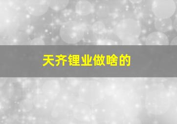 天齐锂业做啥的