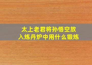 太上老君将孙悟空放入炼丹炉中用什么锻炼