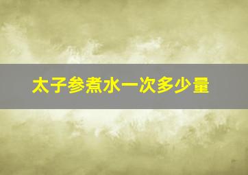 太子参煮水一次多少量