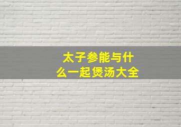 太子参能与什么一起煲汤大全