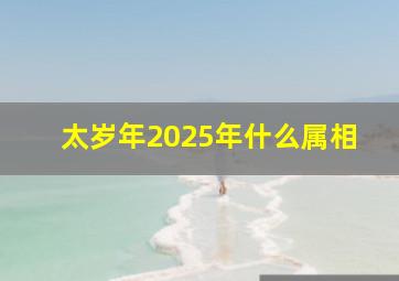 太岁年2025年什么属相