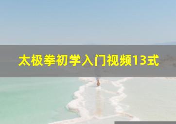 太极拳初学入门视频13式