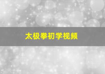 太极拳初学视频