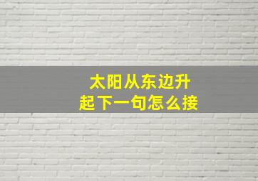 太阳从东边升起下一句怎么接