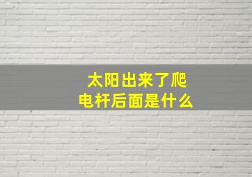 太阳出来了爬电杆后面是什么