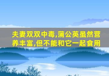 夫妻双双中毒,蒲公英虽然营养丰富,但不能和它一起食用