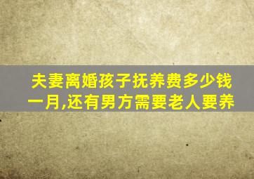 夫妻离婚孩子抚养费多少钱一月,还有男方需要老人要养