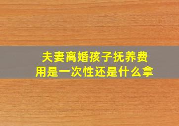 夫妻离婚孩子抚养费用是一次性还是什么拿