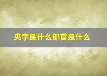 央字是什么部首是什么