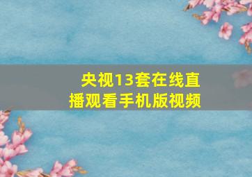 央视13套在线直播观看手机版视频