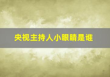 央视主持人小眼睛是谁