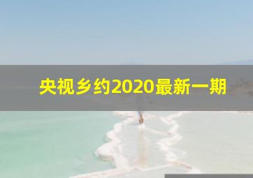 央视乡约2020最新一期