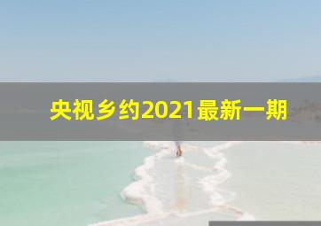 央视乡约2021最新一期