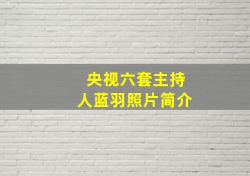 央视六套主持人蓝羽照片简介