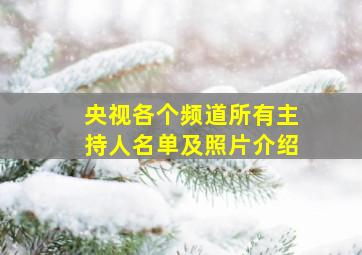 央视各个频道所有主持人名单及照片介绍