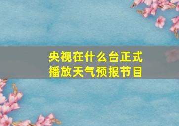 央视在什么台正式播放天气预报节目