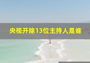 央视开除13位主持人是谁