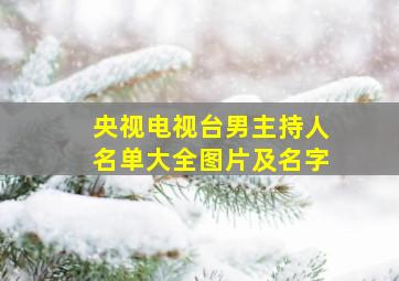 央视电视台男主持人名单大全图片及名字