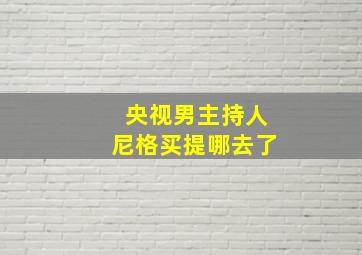 央视男主持人尼格买提哪去了