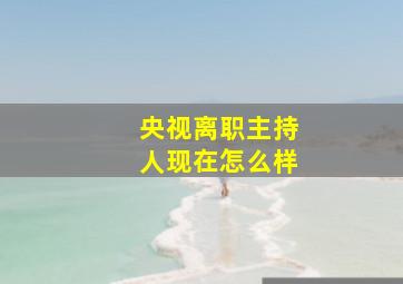 央视离职主持人现在怎么样