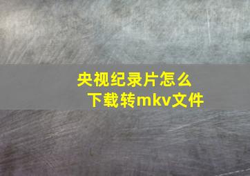 央视纪录片怎么下载转mkv文件