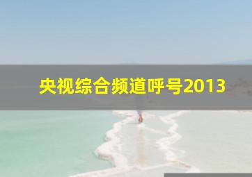 央视综合频道呼号2013