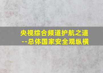 央视综合频道护航之道--总体国家安全观纵横