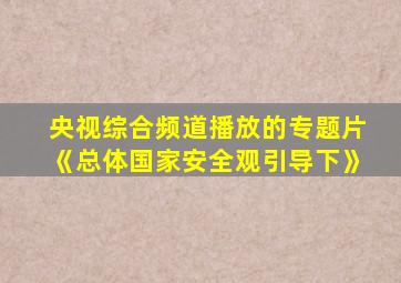 央视综合频道播放的专题片《总体国家安全观引导下》