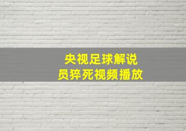 央视足球解说员猝死视频播放