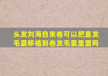 头发刘海自来卷可以把直发毛囊移植到卷发毛囊里面吗