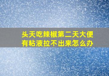 头天吃辣椒第二天大便有粘液拉不出来怎么办