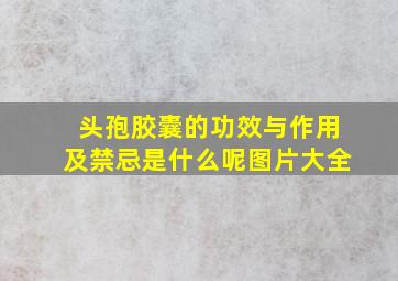 头孢胶囊的功效与作用及禁忌是什么呢图片大全