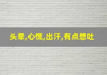 头晕,心慌,出汗,有点想吐