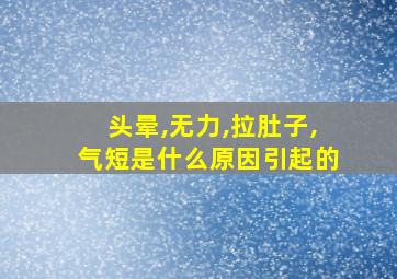 头晕,无力,拉肚子,气短是什么原因引起的