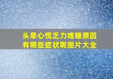 头晕心慌乏力嗜睡原因有哪些症状呢图片大全