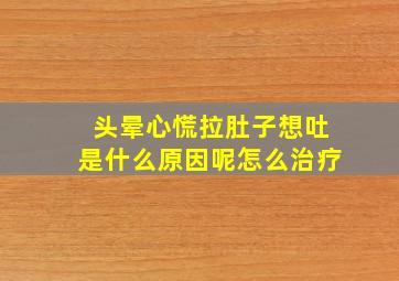 头晕心慌拉肚子想吐是什么原因呢怎么治疗