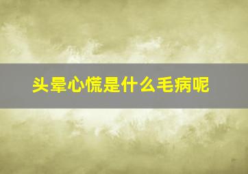 头晕心慌是什么毛病呢