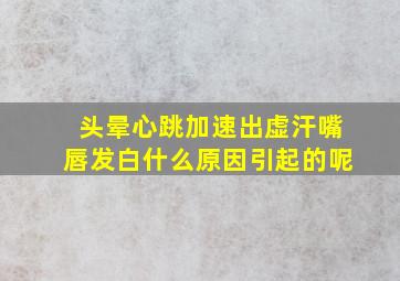 头晕心跳加速出虚汗嘴唇发白什么原因引起的呢