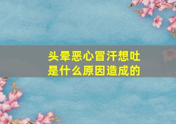 头晕恶心冒汗想吐是什么原因造成的