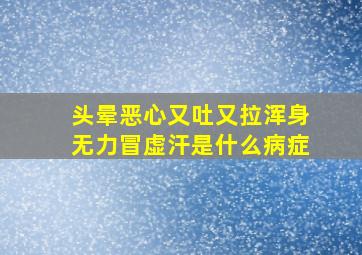 头晕恶心又吐又拉浑身无力冒虚汗是什么病症