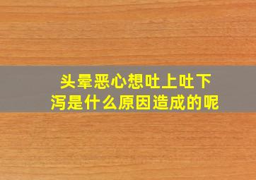 头晕恶心想吐上吐下泻是什么原因造成的呢