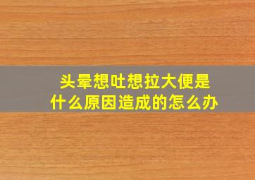 头晕想吐想拉大便是什么原因造成的怎么办