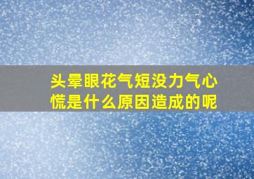 头晕眼花气短没力气心慌是什么原因造成的呢