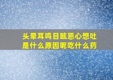 头晕耳鸣目眩恶心想吐是什么原因呢吃什么药