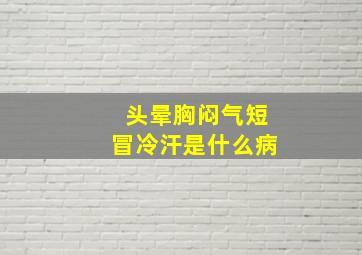 头晕胸闷气短冒冷汗是什么病