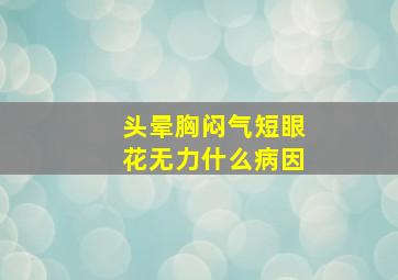 头晕胸闷气短眼花无力什么病因