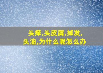 头痒,头皮屑,掉发,头油,为什么呢怎么办