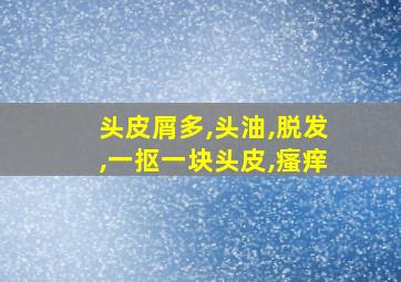 头皮屑多,头油,脱发,一抠一块头皮,瘙痒